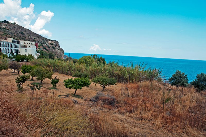The Orthodox Accademy of Crete (OAC) / Photo: Silvana Matozza