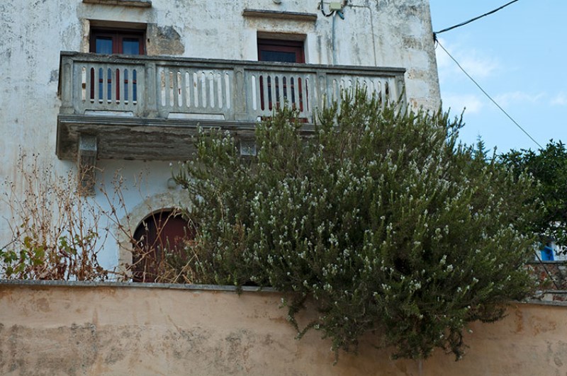 Tradizionale casa cretese con giardino / Photo Impressioni Jazz