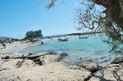 Thumbs/tn_Elafonissi.Fascia_costiera.Isola_di_Creta.jpg