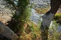 Ruscello tra gli alberi / PhotoSilvana Matozza, Guido Bonacci