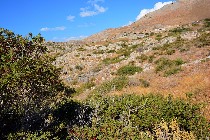 Paesaggio cretese / PhotoSilvana Matozza