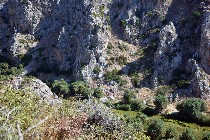 Foresta di Plame nella gola di Kourtaliotiko / PhotoSilvana Matozza