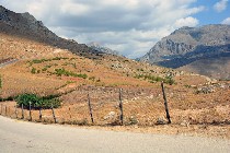 Grecia - Isola di Creta, Preveli / PhotoSilvana Matozza