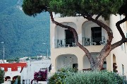 Thumbs/tn_Lacco-Ameno.Ischia.jpg