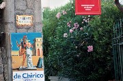 Thumbs/tn_Villa-Arbusto.Ingresso.jpg