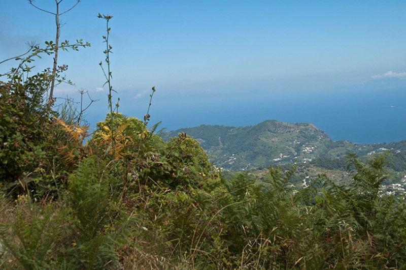 Fascia costiera vista dal Monte Epomeo. Isola d'ischia