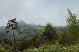 Epomeo. Panorama. Macchia mediterranea.