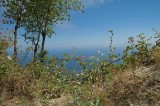 Ischia. Il mare dall'Epomeo / Photo Impressioni Jazz