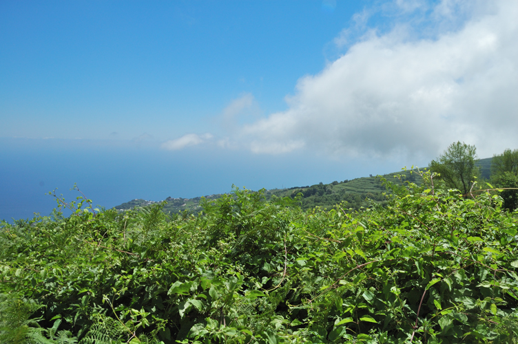 ../Images/Sant'Angelo_d'ischia_Veduta_dall'Epomeo.jpg