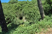 Thumbs/tn_Grotte.Strada_Epomeo.jpg