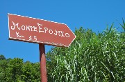 Thumbs/tn_Monte_Epomeo.Segnale_stradale.jpg
