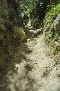Thumbs/tn_Mulattiera_Epomeo_d'Ischia.jpg