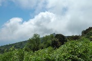 Thumbs/tn_Nuvole_all'orizzonte.Epomeo.jpg