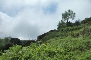 Thumbs/tn_Nuvole_in_arrivo_sull'Epomeo.jpg