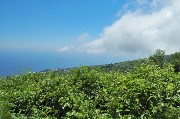 Thumbs/tn_Sant'Angelo_d'ischia_Veduta_dall'Epomeo.jpg