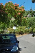 Thumbs/tn_Strada_Monte_Epomeo.jpg