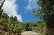 Thumbs/tn_aria_tersa_e_colori_smaglianti.Strada_Epomeo.jpg