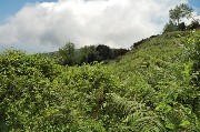 Thumbs/tn_nuvole_sulla_cima.Epomeo.jpg