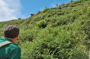 Thumbs/tn_osservando_il_panorama.Epomeo.jpg