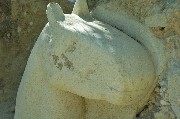 Thumbs/tn_testa_di_cavallo.scultura.jpg