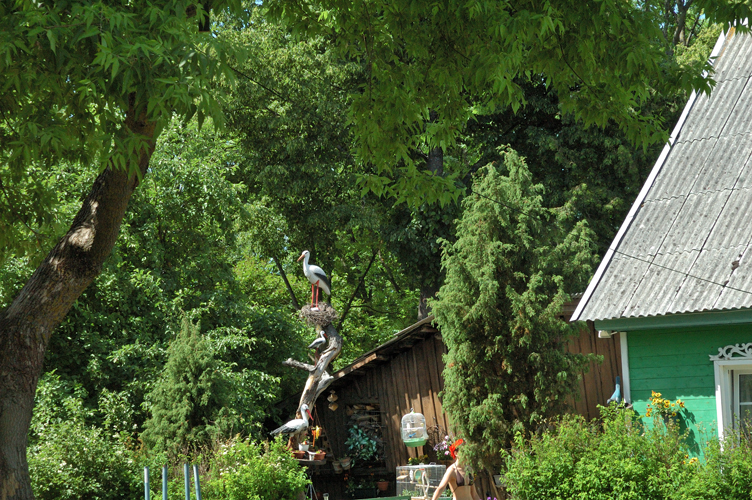 casa di legno nel parco boschivo