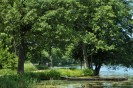 Lago di Luka (Bernardinai) - Parco Storico Nazionale di Trakai