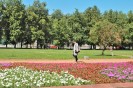 Una piazza alberata di Vilnius