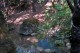 la Valley of Butterflies nell'Isola di Rodi