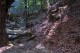 uno scorcio dell'habitat della valle / Photo di Silvana Matozza e Silvana Matozza