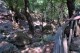 un piccolo ruscello tra gli alberi della Valle delle farfalle 