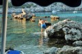 Thumbs/tn_Spiaggia_di_Anthony_Quinn.jpg