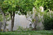 Thumbs/tn_Scorcio-con-fontana-Museo-Canonica.Villa-Borghese.jpg