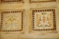 Thumbs/tn_Loggia_PaoloIII_Grottesche.jpg