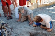 Thumbs/tn_Volontari_aiutano_neonate_tartarughe_marine.Gerani.Crete.jpg