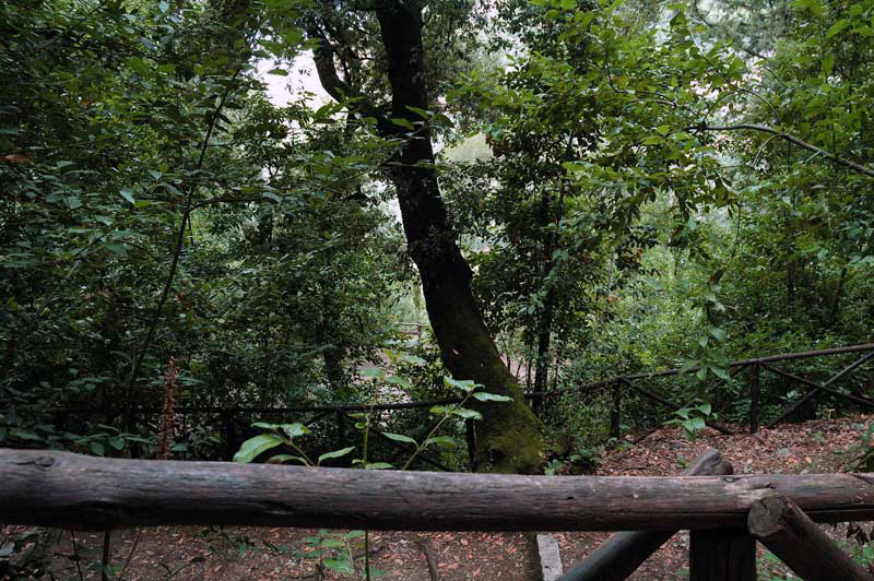 veduta da un vialetto del Parco. Photo Impressioni Jazz