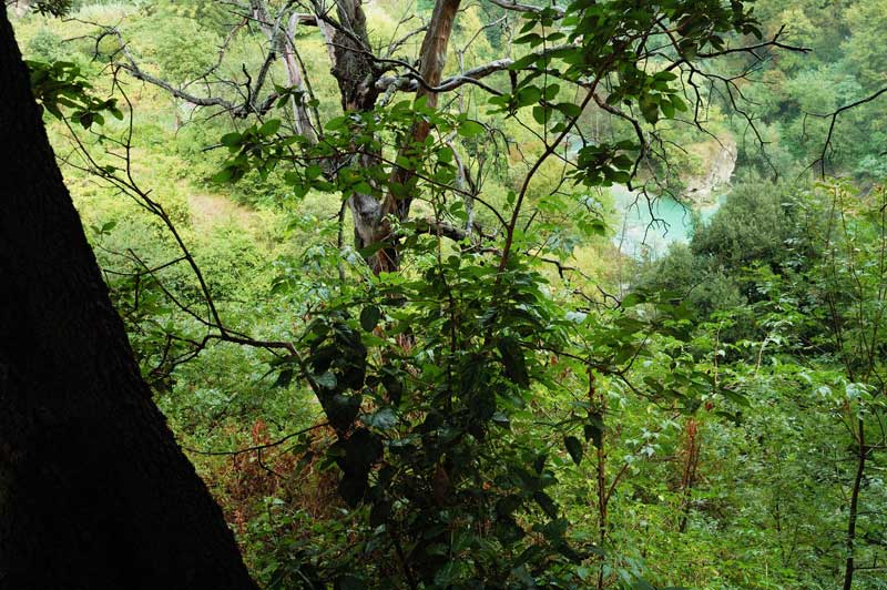 Una valle satura di luce - Villa Gregoriana di Tivoli