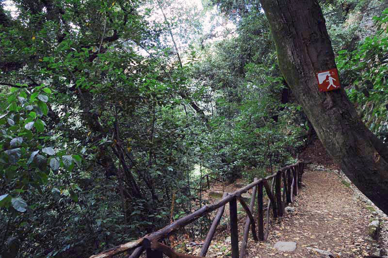 Vialetto - "Villa Gregoriana" Park - photo di Silvana Matozza