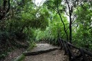 Vialetto - "Villa Gregoriana" Park - Tivoli