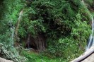  Valle dell'Inferno (elab.) - foto di Silvana Matozza