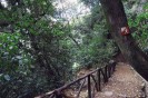 Vialetto del Parco Villa Gregoriana