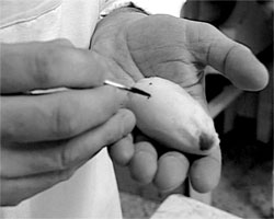 Storie di dolci. Un film di Piero Cannizzaro